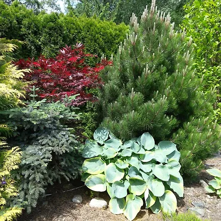 Wisła-dom Przy Rzece Wisła