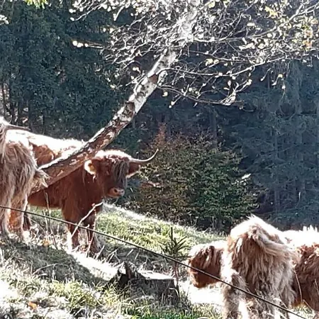 Wisla-dom Przy Rzece Semesterbostad Wisła