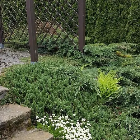 Wisla-dom Przy Rzece *