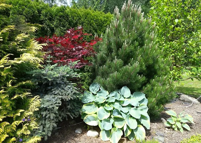 Wisla-dom Przy Rzece Visla