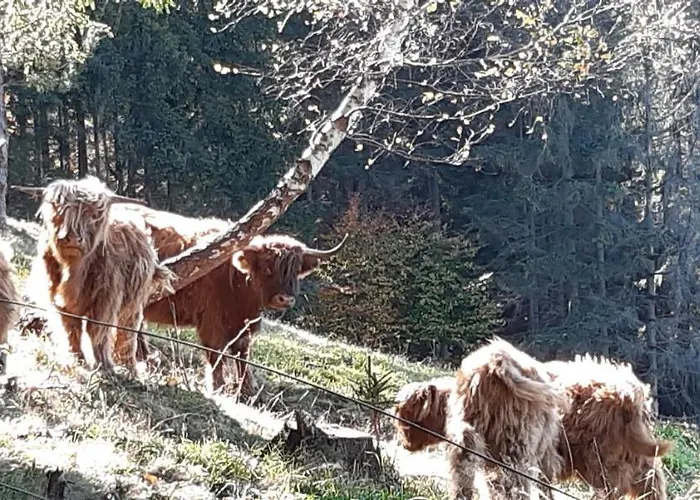 Wisla-dom Przy Rzece Prázdninový dům Visla