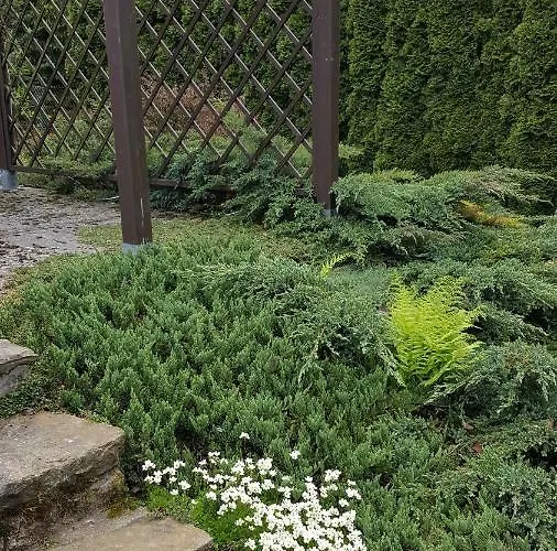 Wisla-dom Przy Rzece *